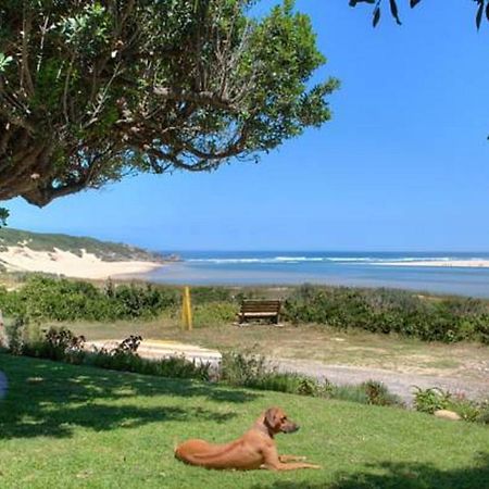 Milkwood Manor B & B Кентон-он-Си Экстерьер фото